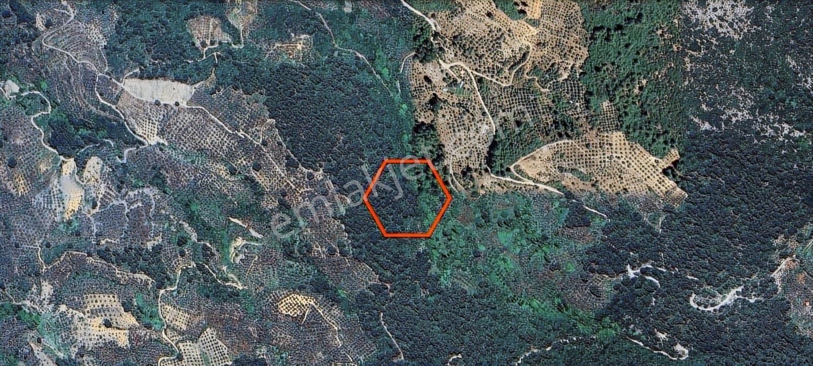 Muğlaya 15 Dakika Uzaklıktaki Yeşilyurtta En Ucuz Düz Arazi - Görsel 4