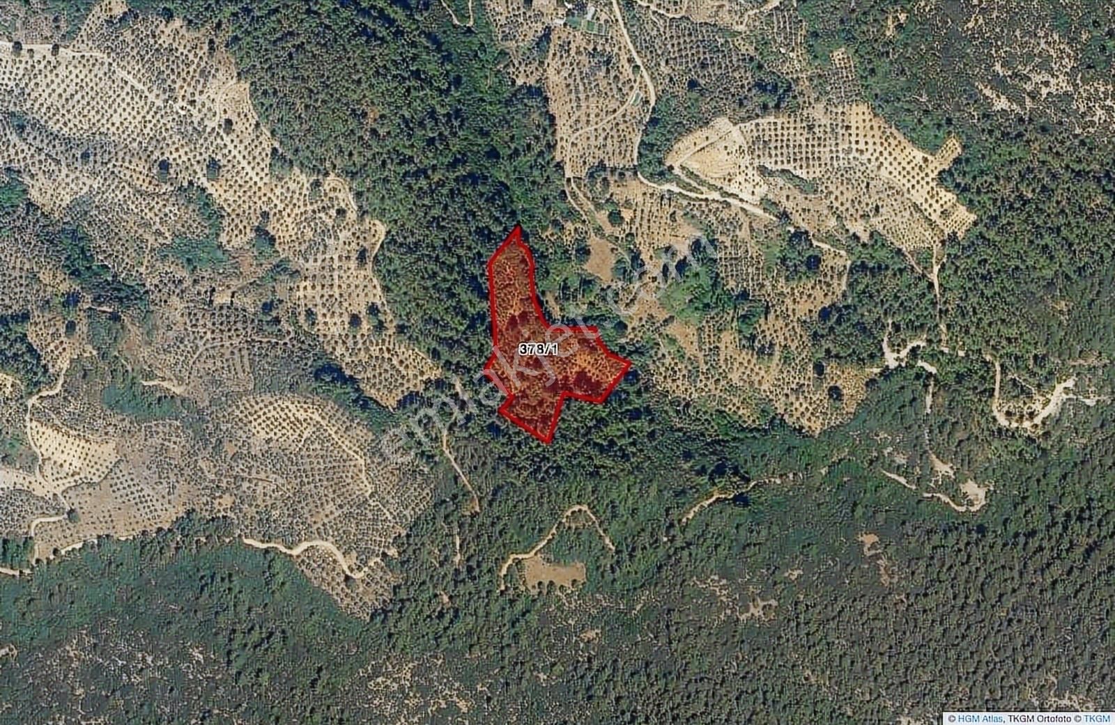 Muğlaya 15 Dakika Uzaklıktaki Yeşilyurtta En Ucuz Düz Arazi - Görsel 6