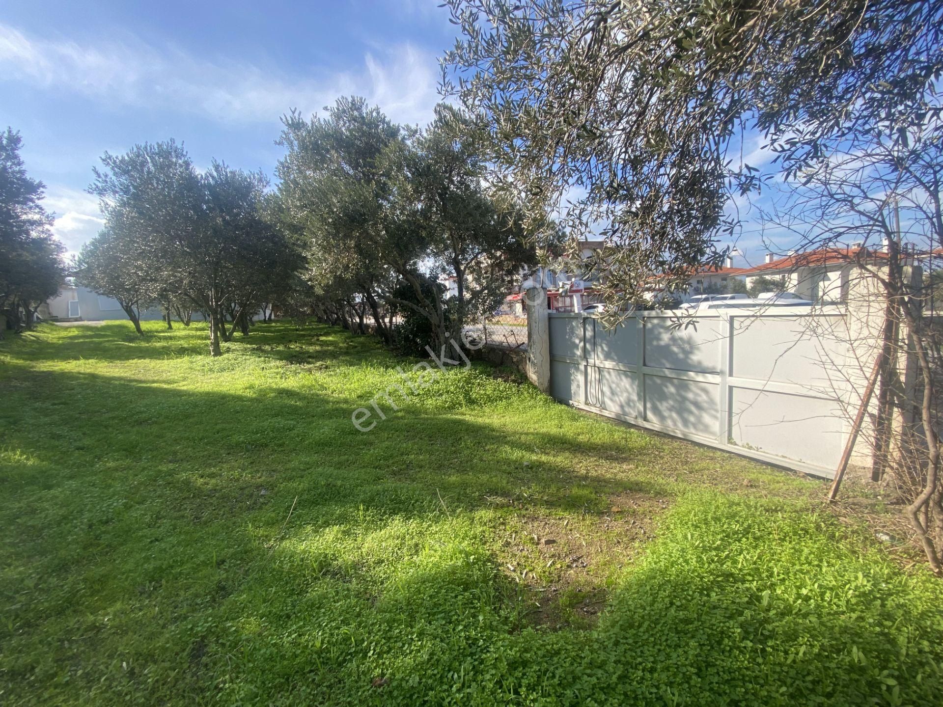 Ayvalık Cunda Da Satılık Tek Katlı Mustakil Villa.denize Yakın - Görsel 21