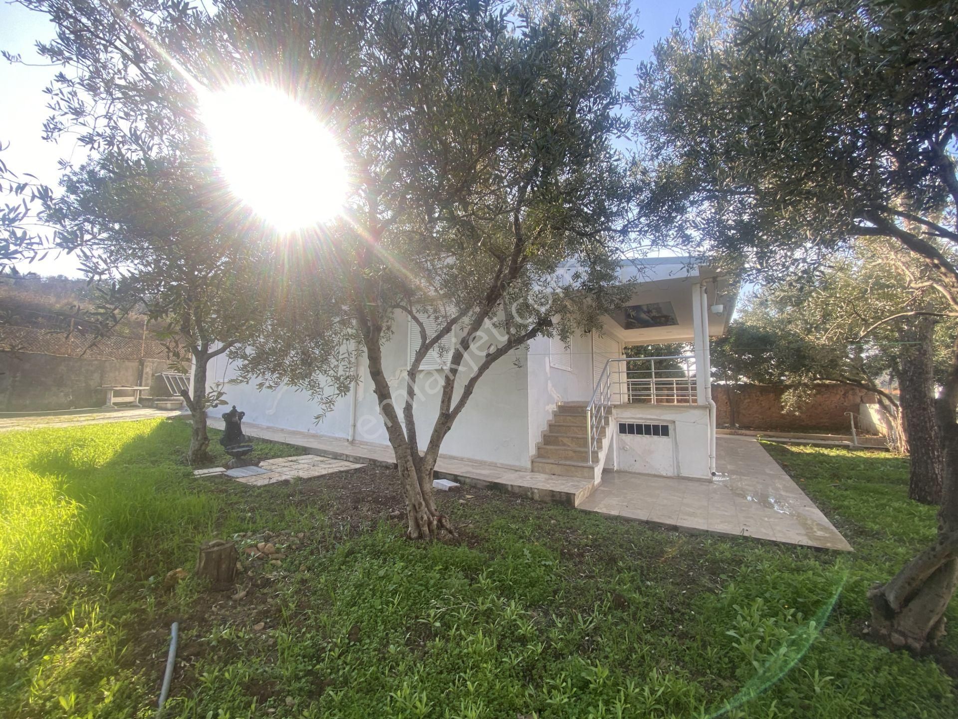 Ayvalık Cunda Da Satılık Tek Katlı Mustakil Villa.denize Yakın - Görsel 27