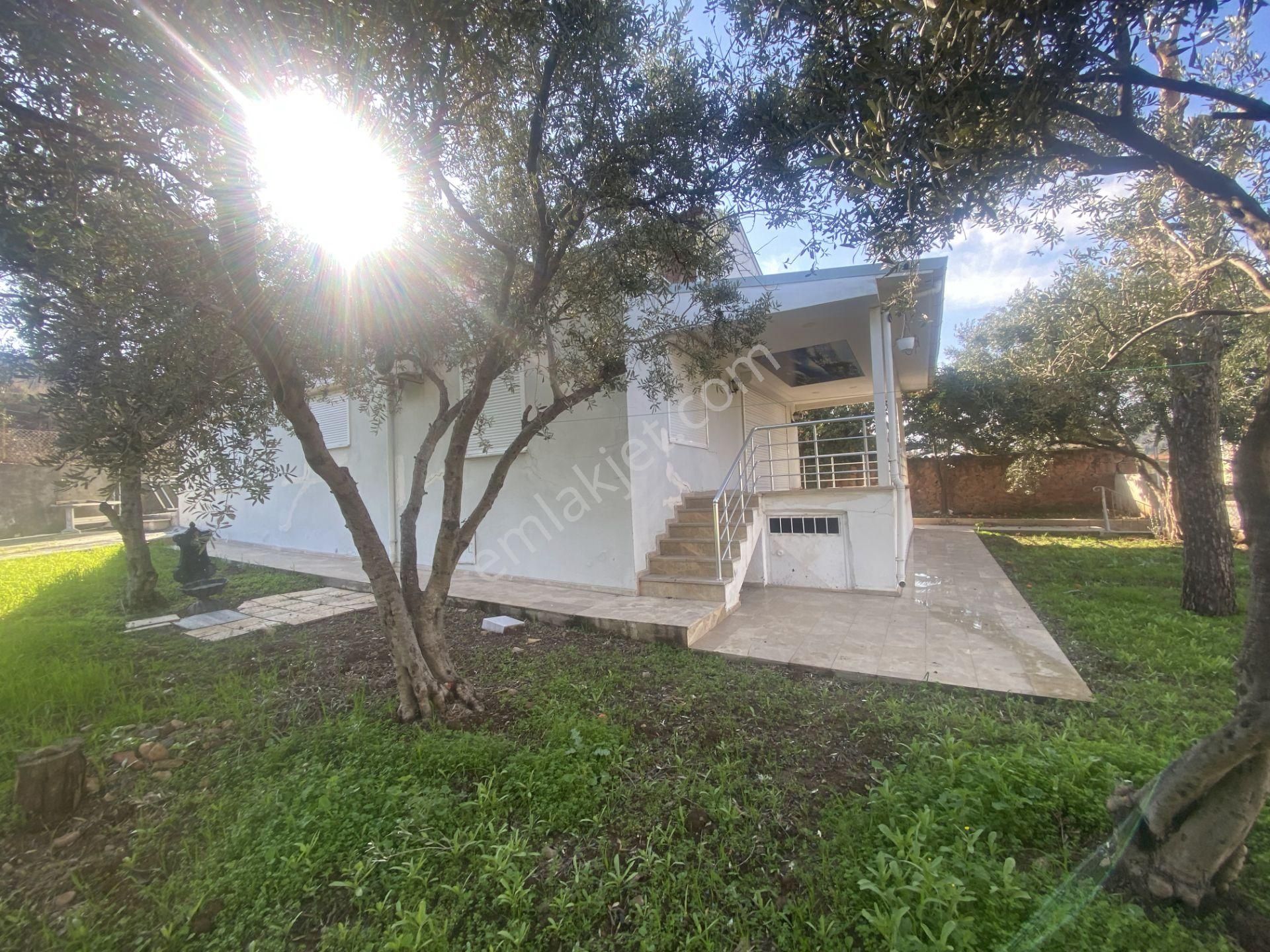 Ayvalık Cunda Da Satılık Tek Katlı Mustakil Villa.denize Yakın - Görsel 23