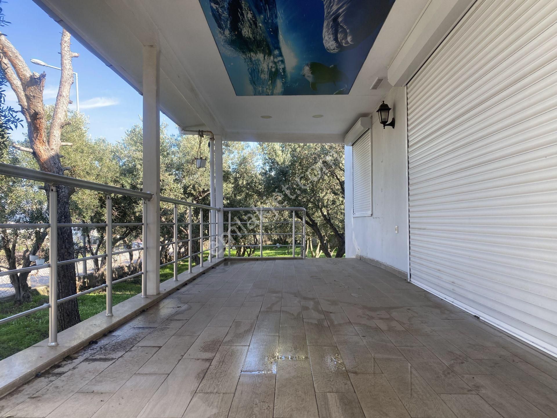 Ayvalık Cunda Da Satılık Tek Katlı Mustakil Villa.denize Yakın - Görsel 26