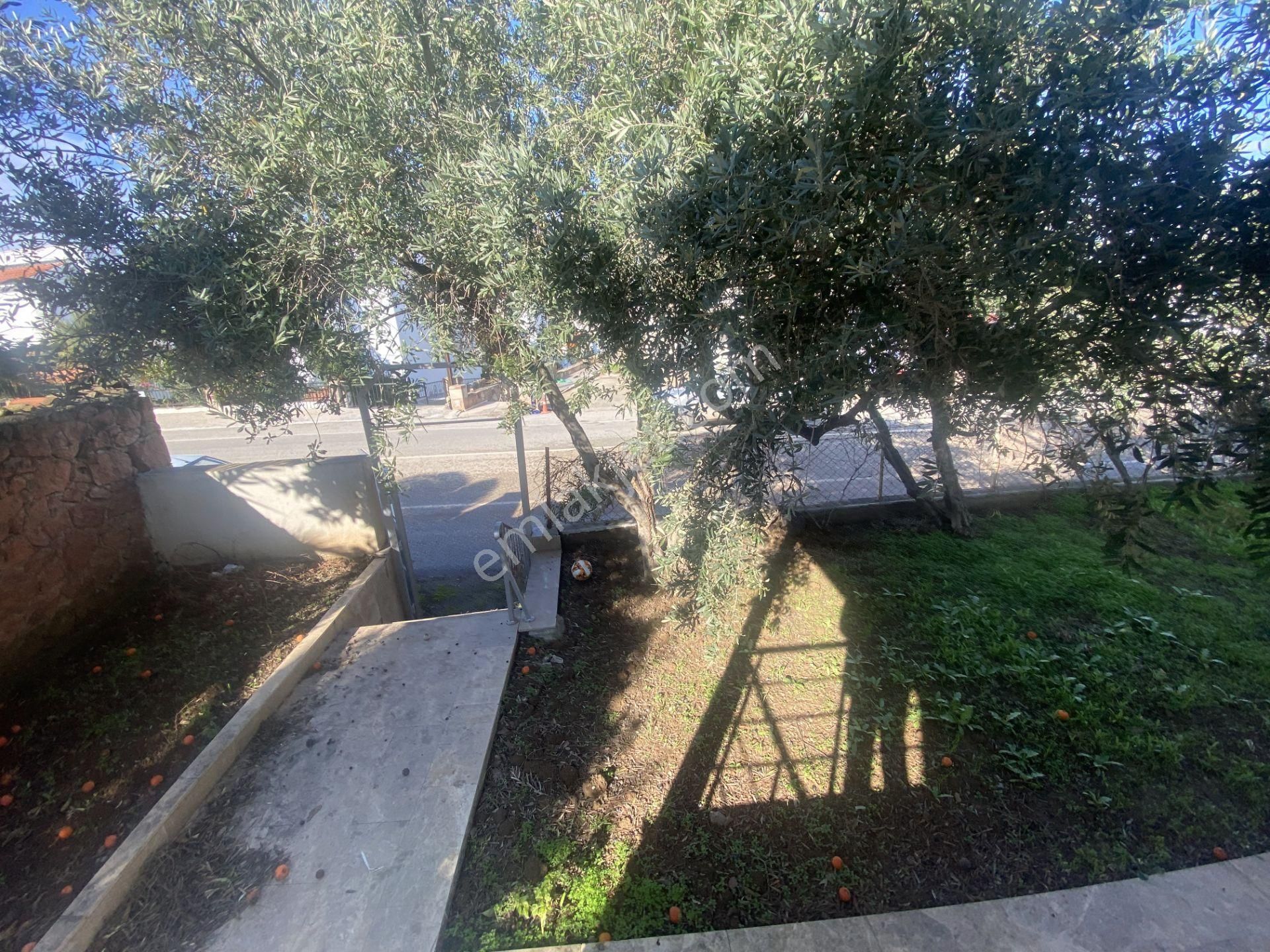 Ayvalık Cunda Da Satılık Tek Katlı Mustakil Villa.denize Yakın - Görsel 24