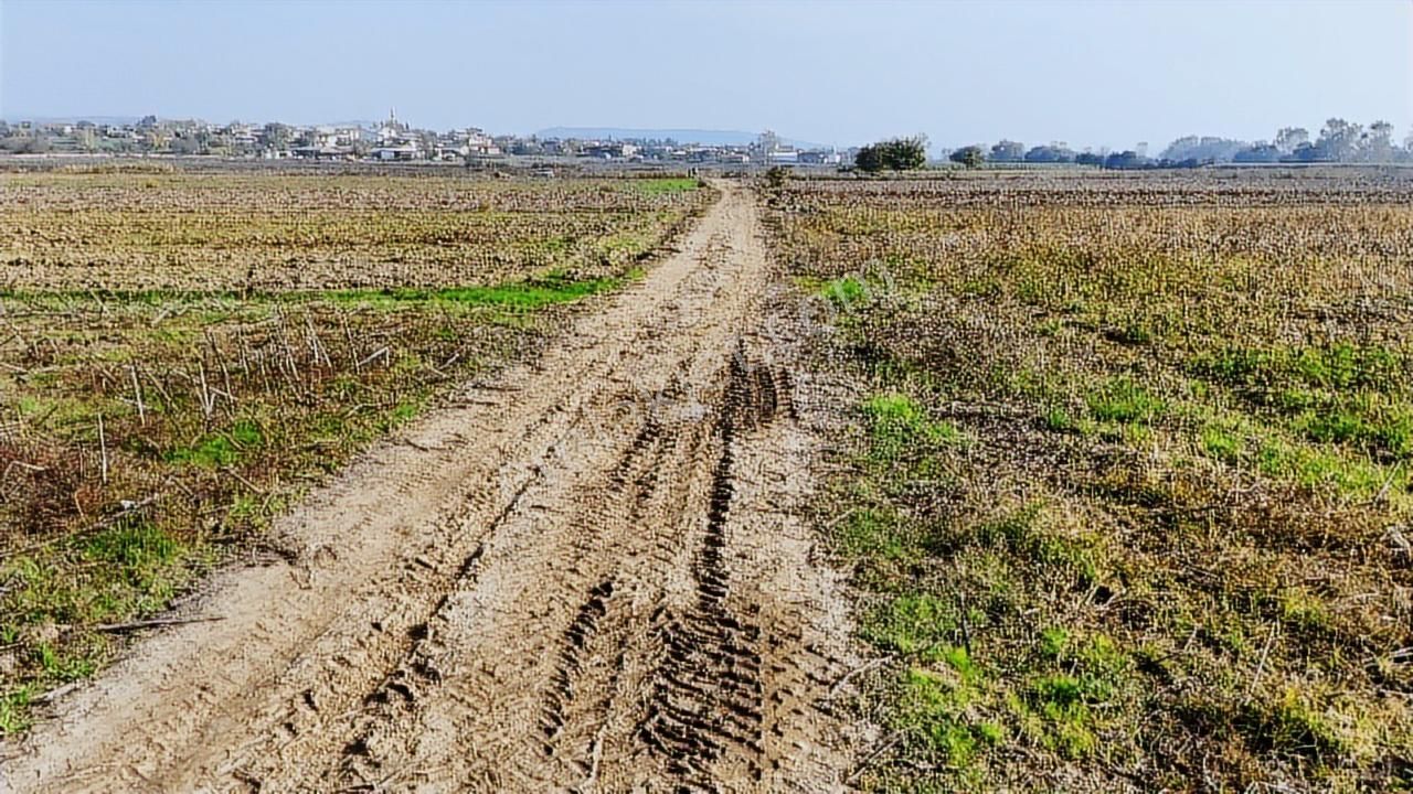 Mudanya Çayönü Mahallesinde 6.424 M² Kadastro Yoluna Cephe - Görsel 7