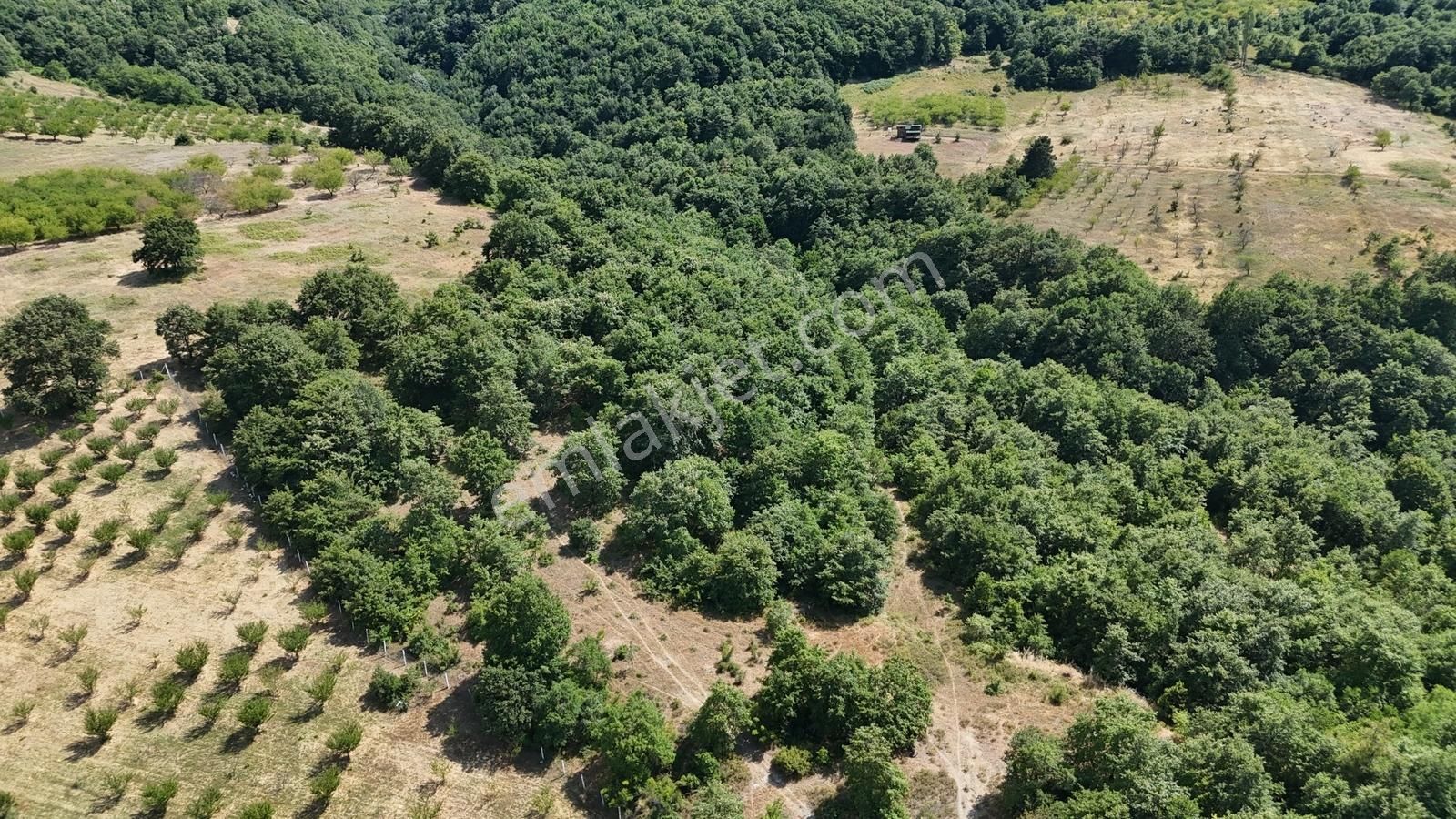 Realty Nexus' Dan İznik Mustafalı' Tarla - Görsel 12