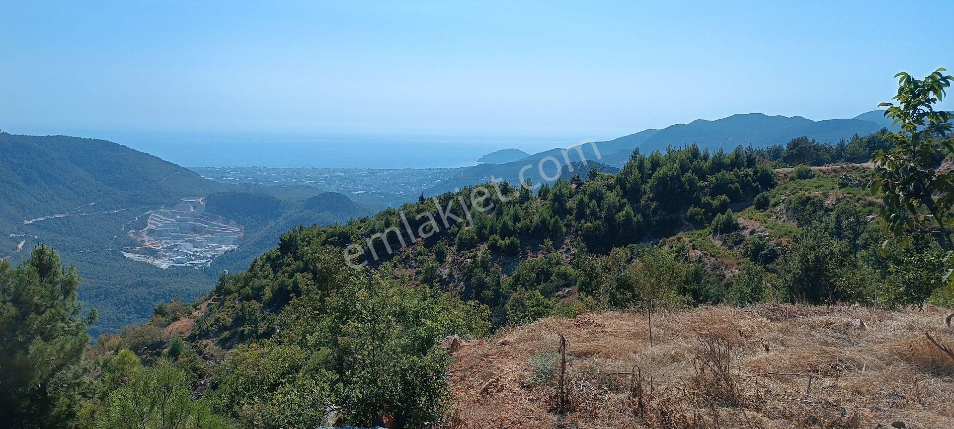 Alanya Bademağacı Köyünde Deniz Manzaralı Tarla - Görsel 7