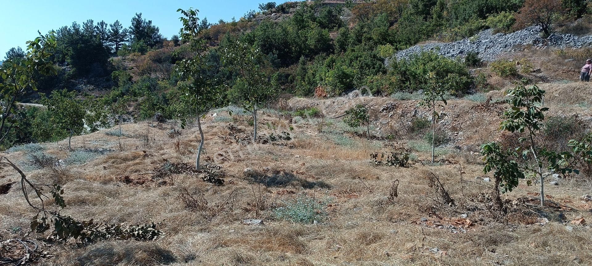 Alanya Bademağacı Köyünde Deniz Manzaralı Tarla - Görsel 10