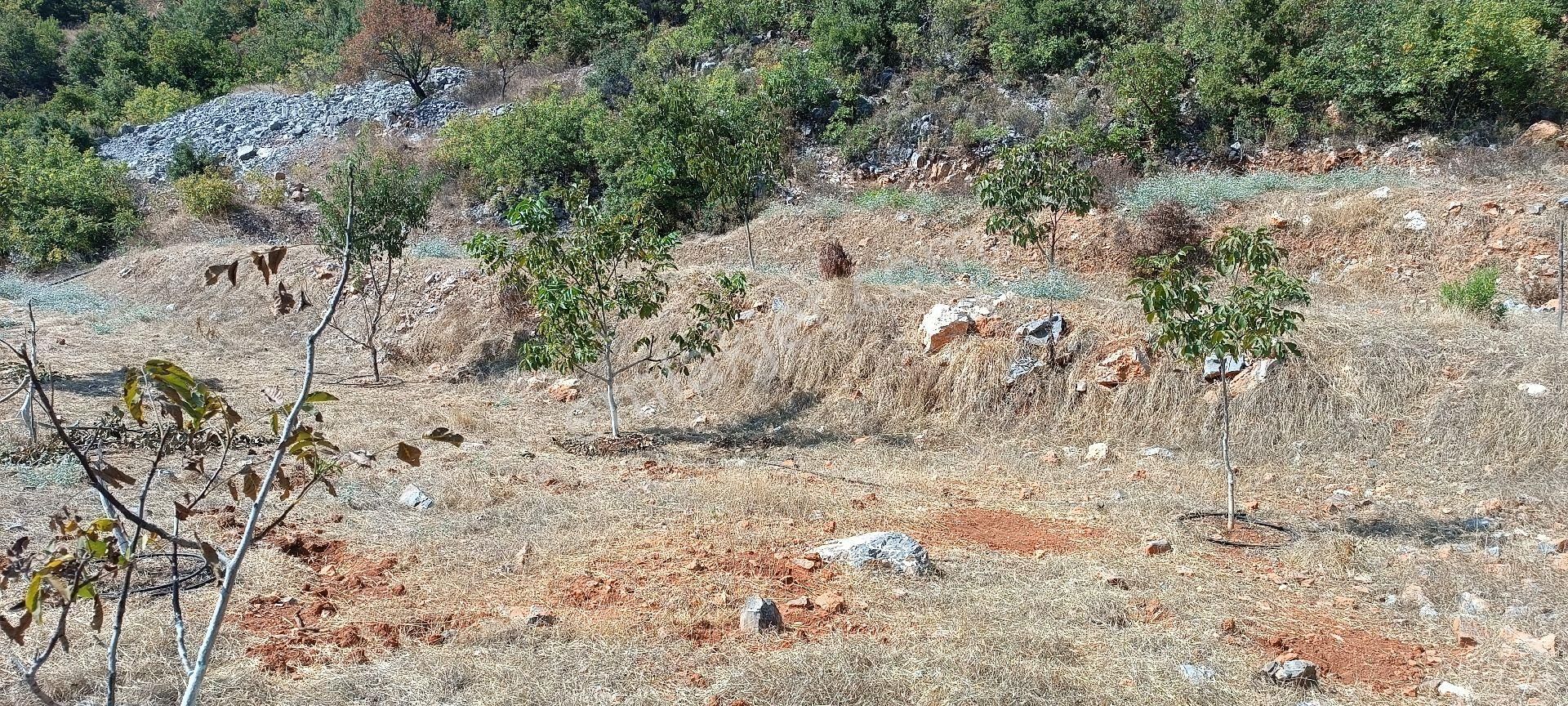 Alanya Bademağacı Köyünde Deniz Manzaralı Tarla - Görsel 15
