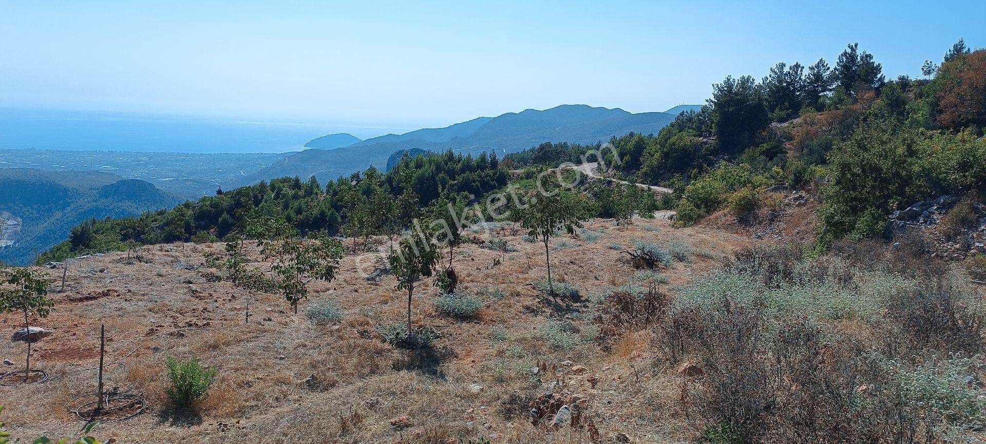 Alanya Bademağacı Köyünde Deniz Manzaralı Tarla - Görsel 21