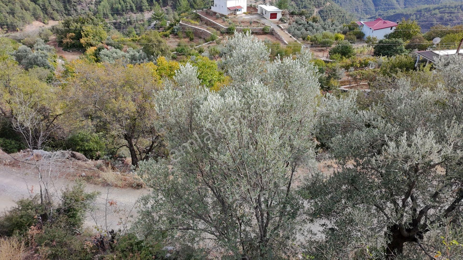 Esenpınar'da 400m2 Arsa Nitelikli 2 Kat Villa Yada Konut İmarlı - Görsel 14
