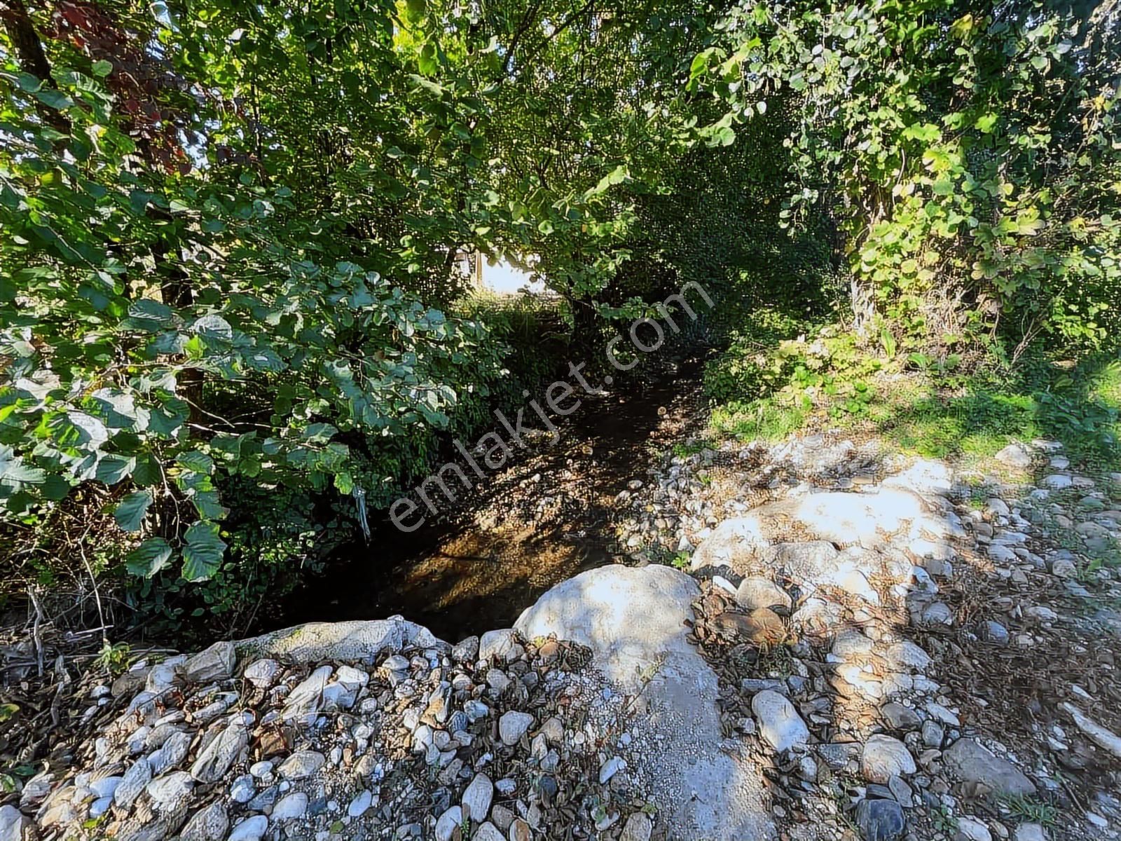 Saygılı Gayrimenkul'den Kısmi Takaslı Tek Tapu Tarla!!! - Görsel 13