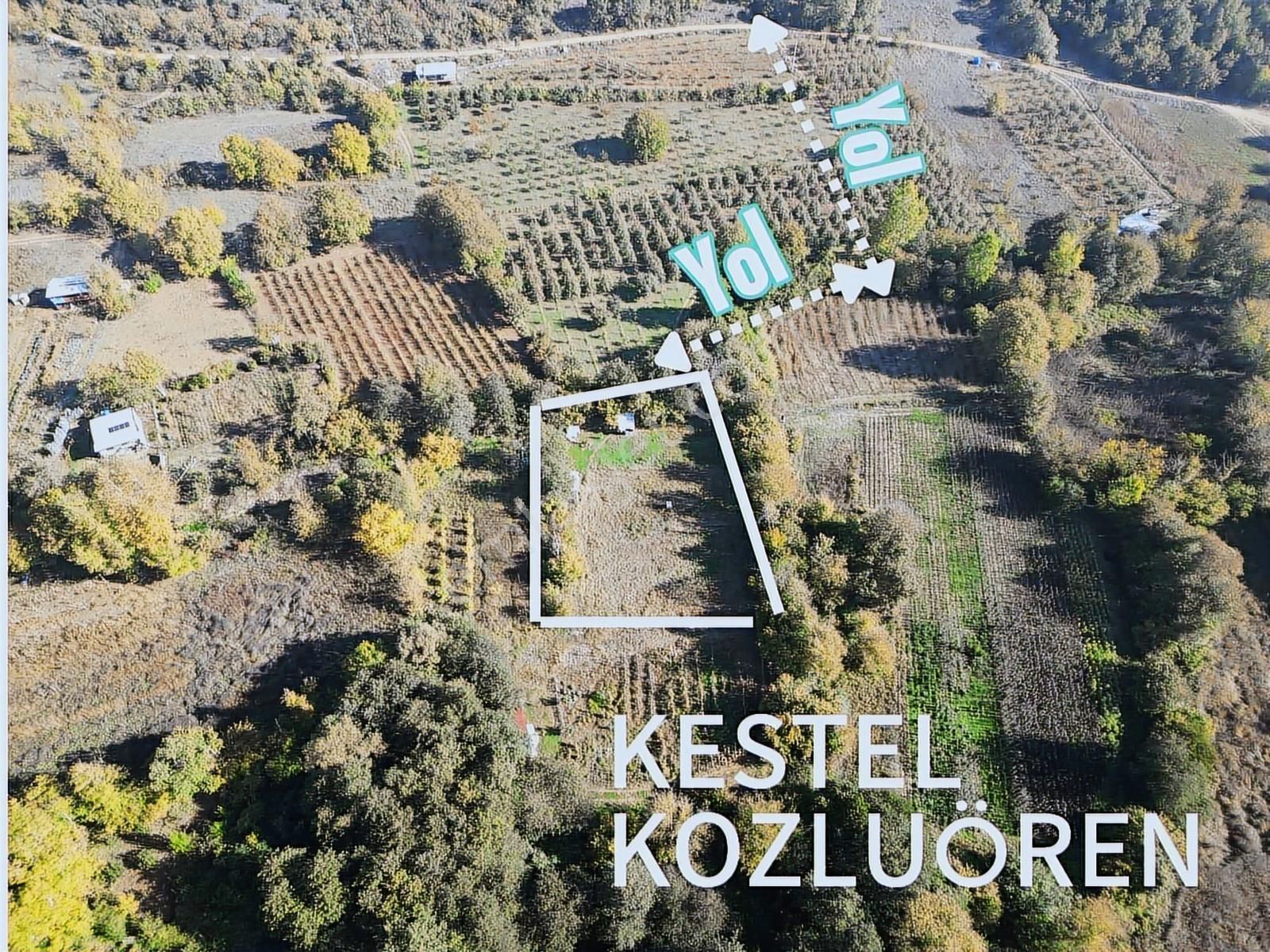 Saygılı Gayrimenkul'den Kısmi Takaslı Tek Tapu Tarla!!! - Görsel 2