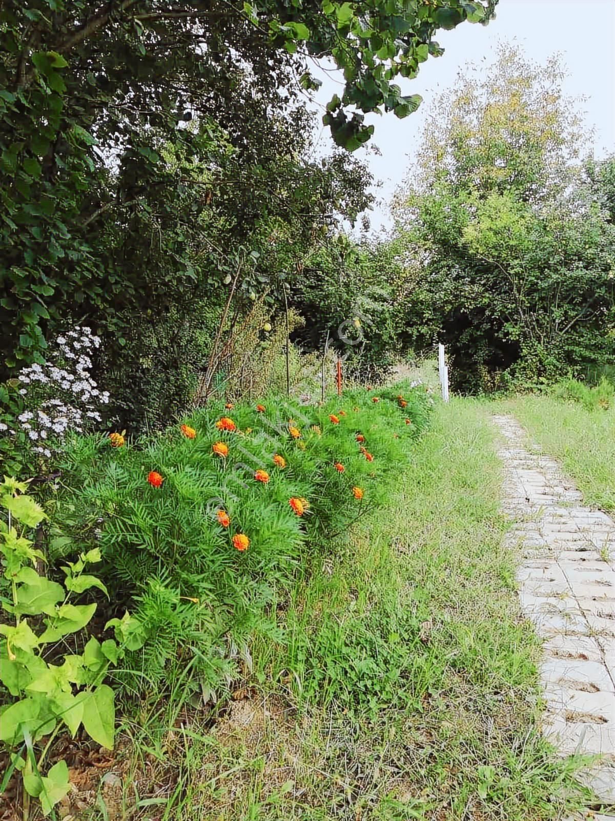 Saygılı Gayrimenkul'den Kısmi Takaslı Tek Tapu Tarla!!! - Görsel 19