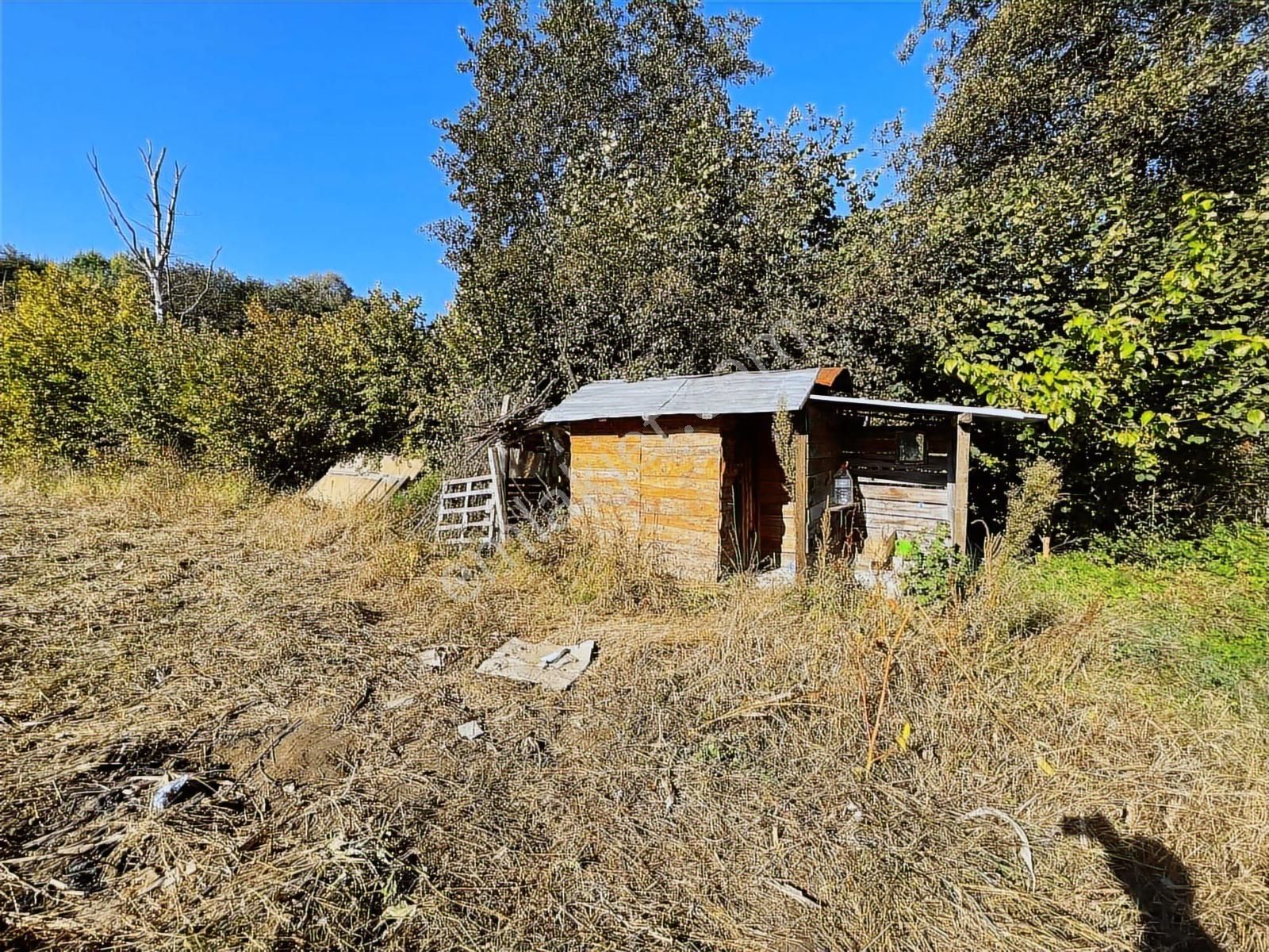 Saygılı Gayrimenkul'den Kısmi Takaslı Tek Tapu Tarla!!! - Görsel 18