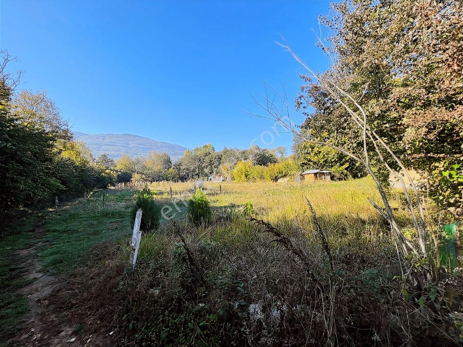 Saygılı Gayrimenkul'den Kısmi Takaslı Tek Tapu Tarla!!! - Görsel 11