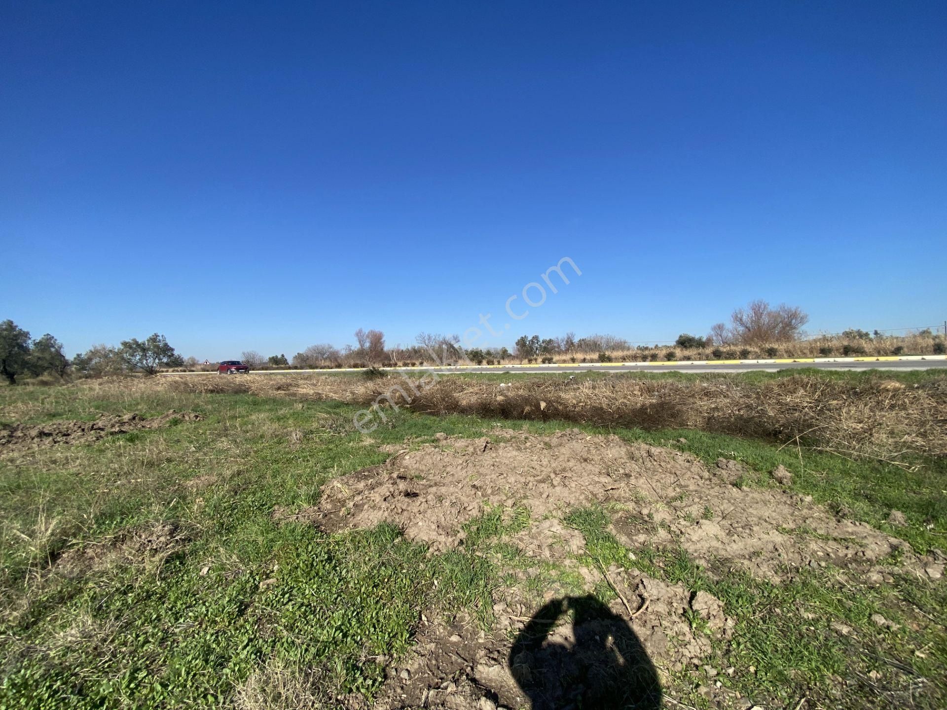 Balıkesir Ayvalık Altınova Da Satılık 20 Dönüm Tarla - Görsel 10