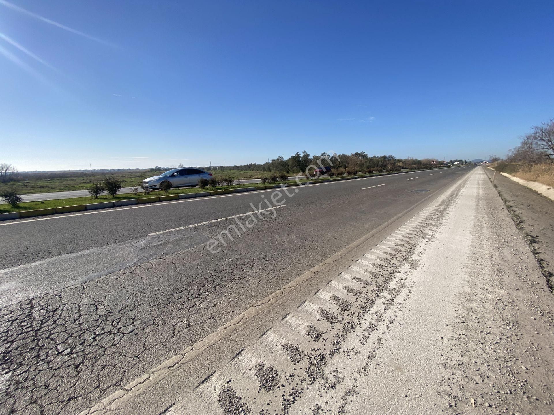 Balıkesir Ayvalık Altınova Da Satılık 20 Dönüm Tarla - Görsel 2