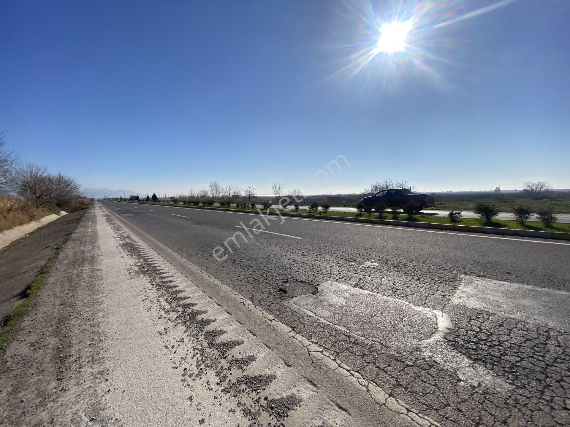 Balıkesir Ayvalık Altınova Da Satılık 20 Dönüm Tarla - Görsel 4