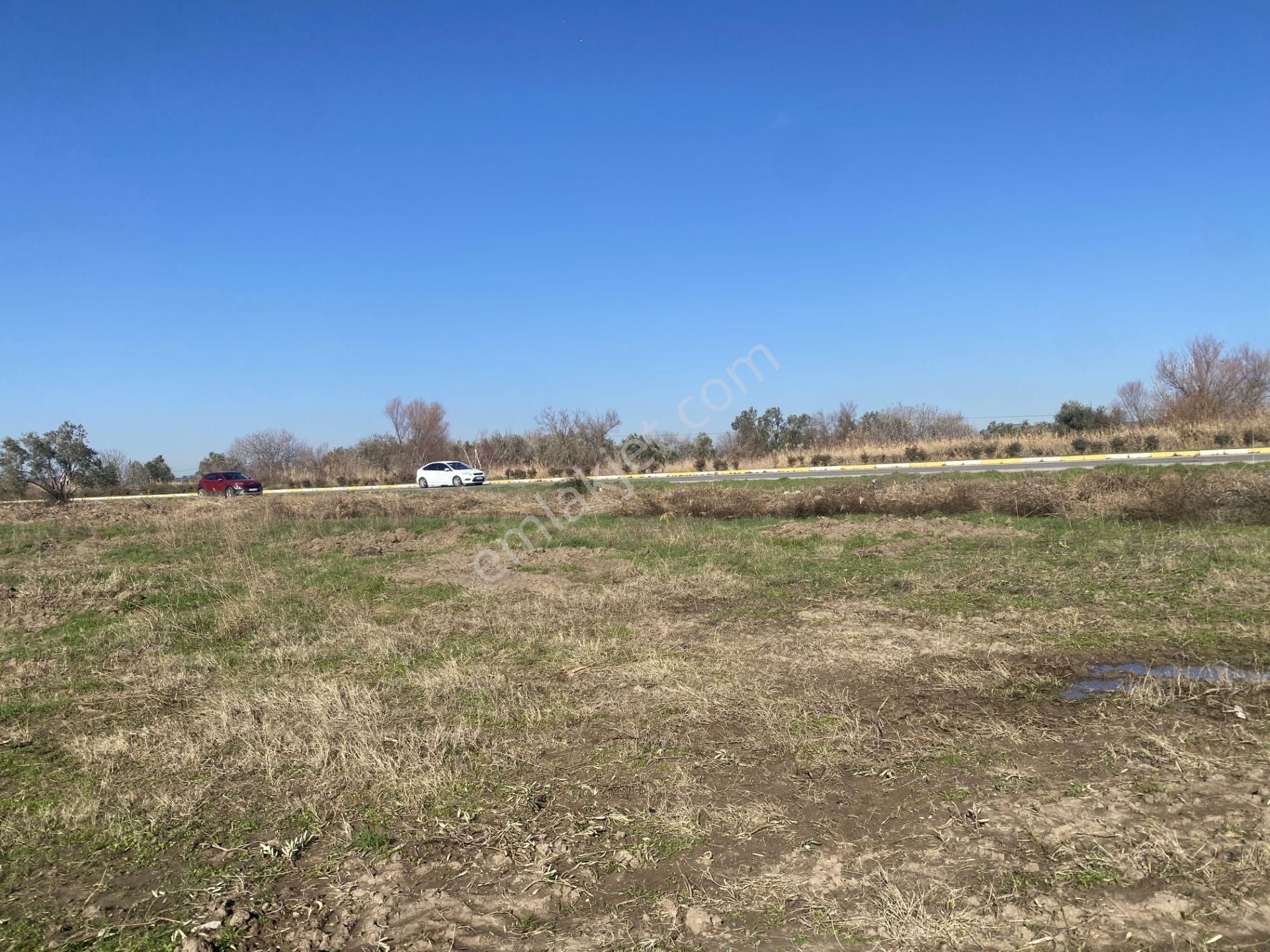 Balıkesir Ayvalık Altınova Da Satılık 20 Dönüm Tarla - Görsel 3