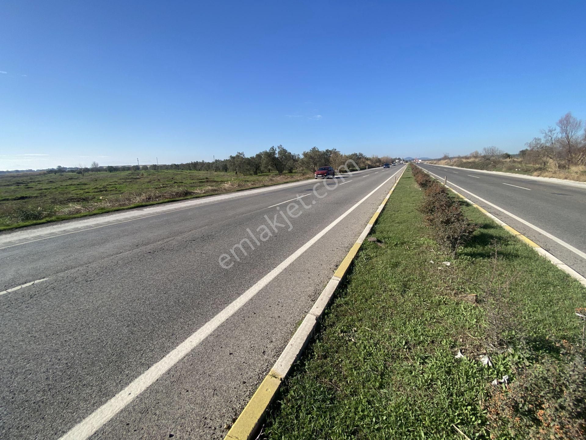 Balıkesir Ayvalık Altınova Da Satılık 20 Dönüm Tarla - Görsel 7