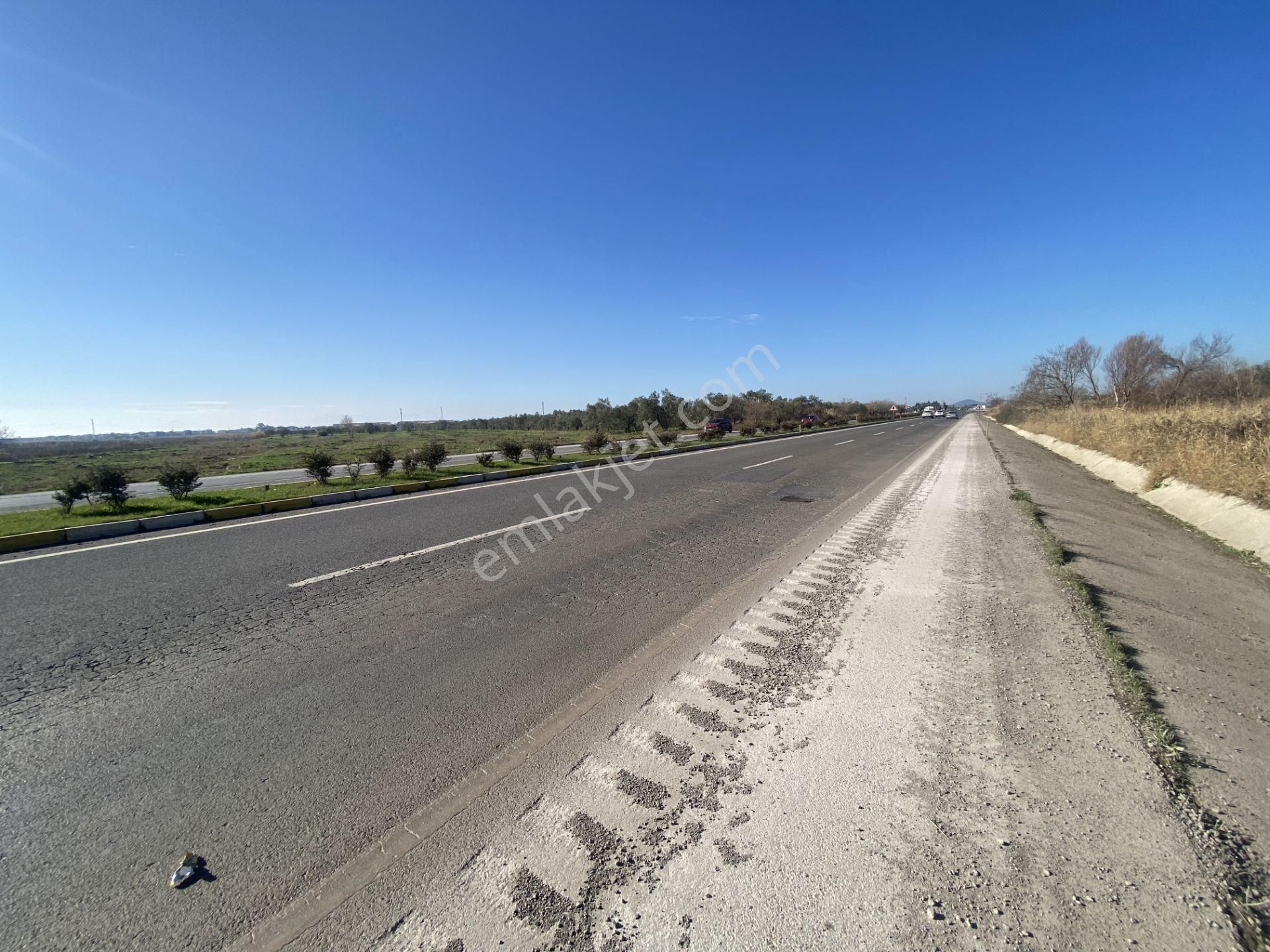 Balıkesir Ayvalık Altınova Da Satılık 20 Dönüm Tarla - Görsel 9