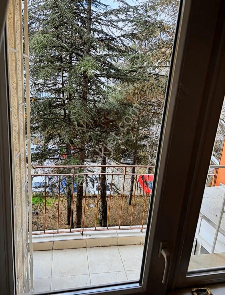 Ayrancıda Kiralık Temiz Daire - Görsel 14