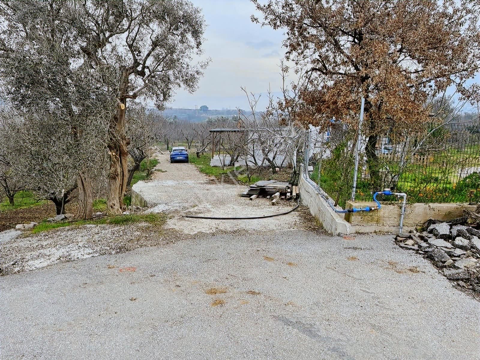Kemalpaşada Kaçmaz Bahçe Fırsatı!
