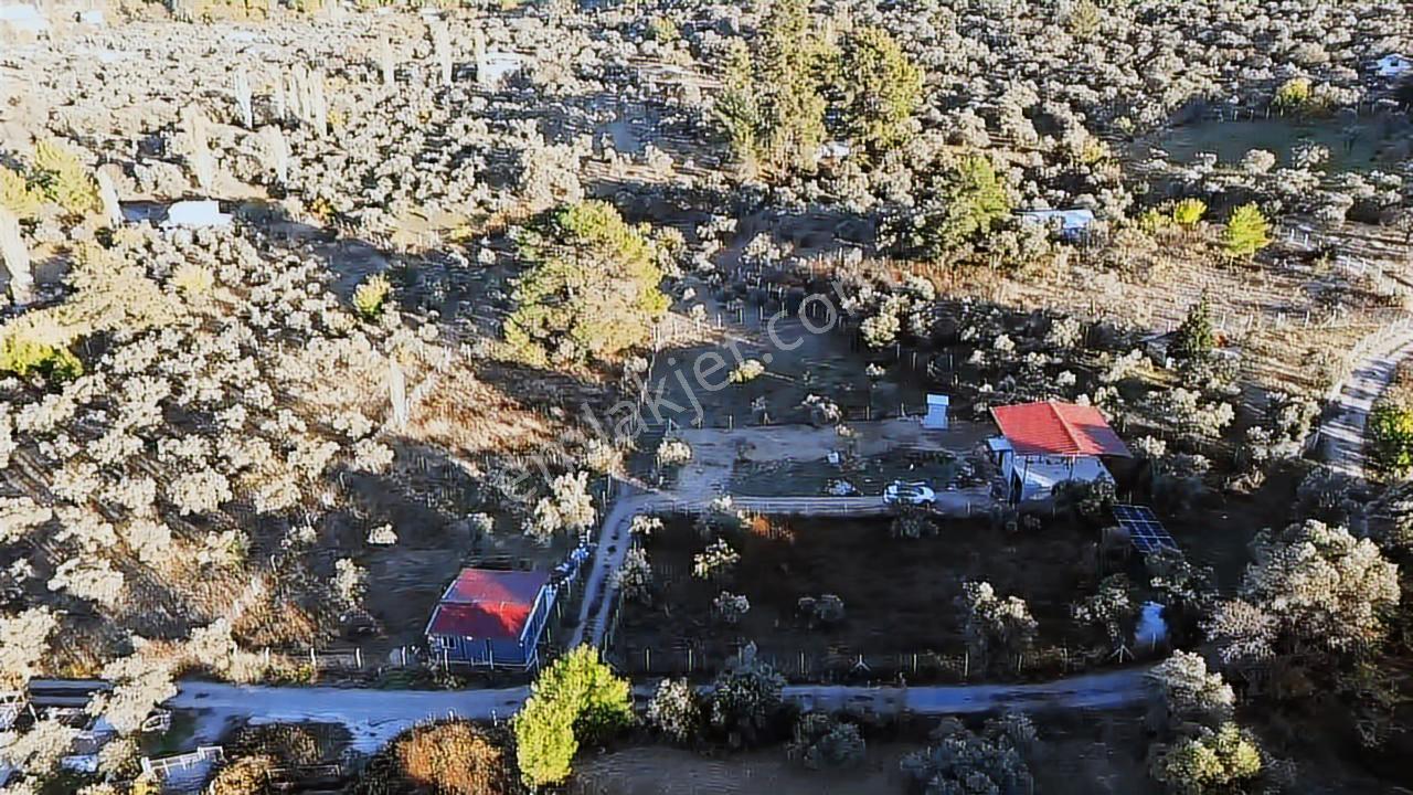 Kemalpaşa Armutluda Satılık Bahçe 926 M² - Görsel 9