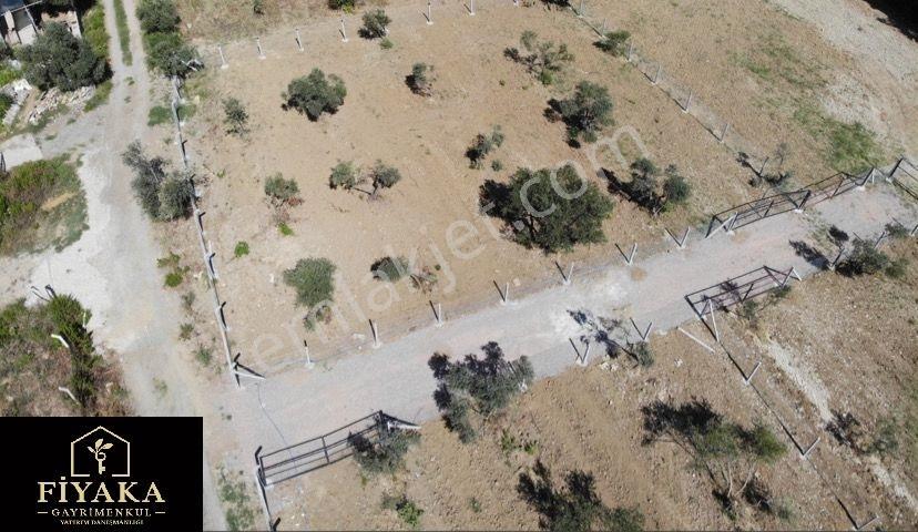 Kemalpaşa Armutluda Satılık Bahçe 926 M² - Görsel 16