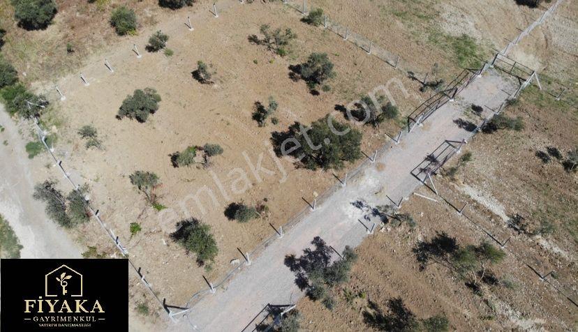 Kemalpaşa Armutluda Satılık Bahçe 926 M² - Görsel 10