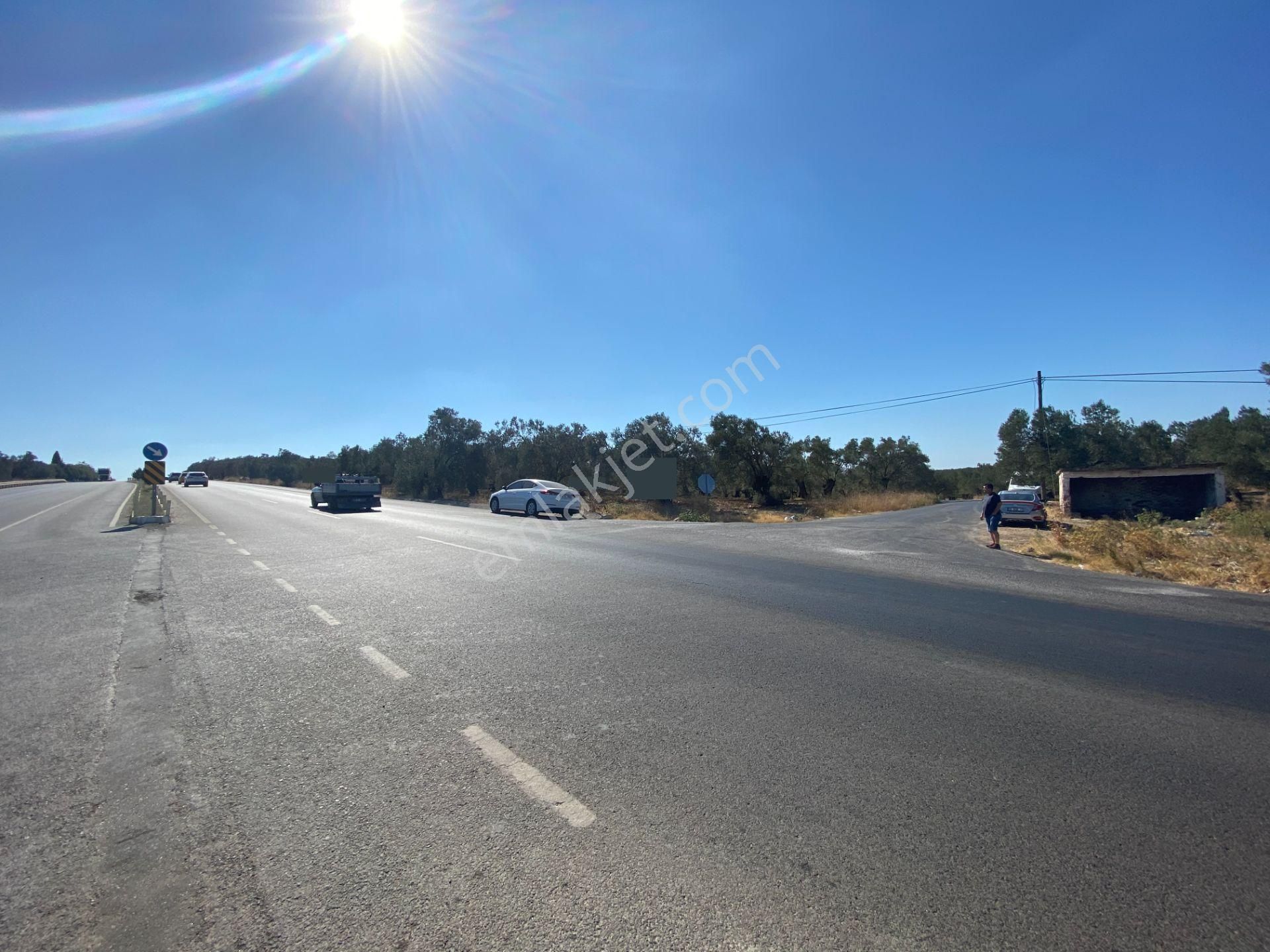 Gömec Keremköy Girişinde Satılık 40,000 Metre Kare Zeytinlik - Görsel 20