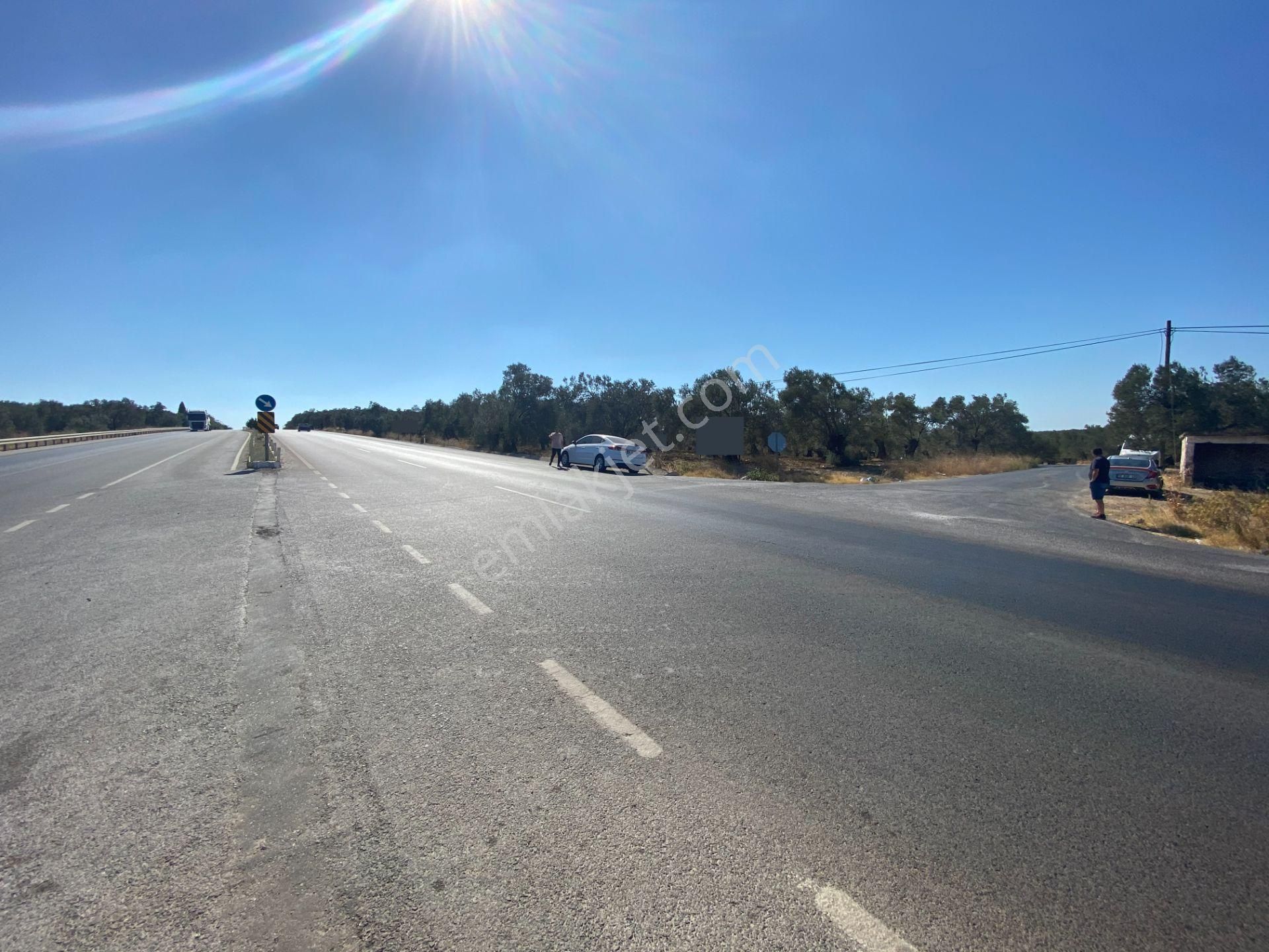 Gömec Keremköy Girişinde Satılık 40,000 Metre Kare Zeytinlik - Görsel 19