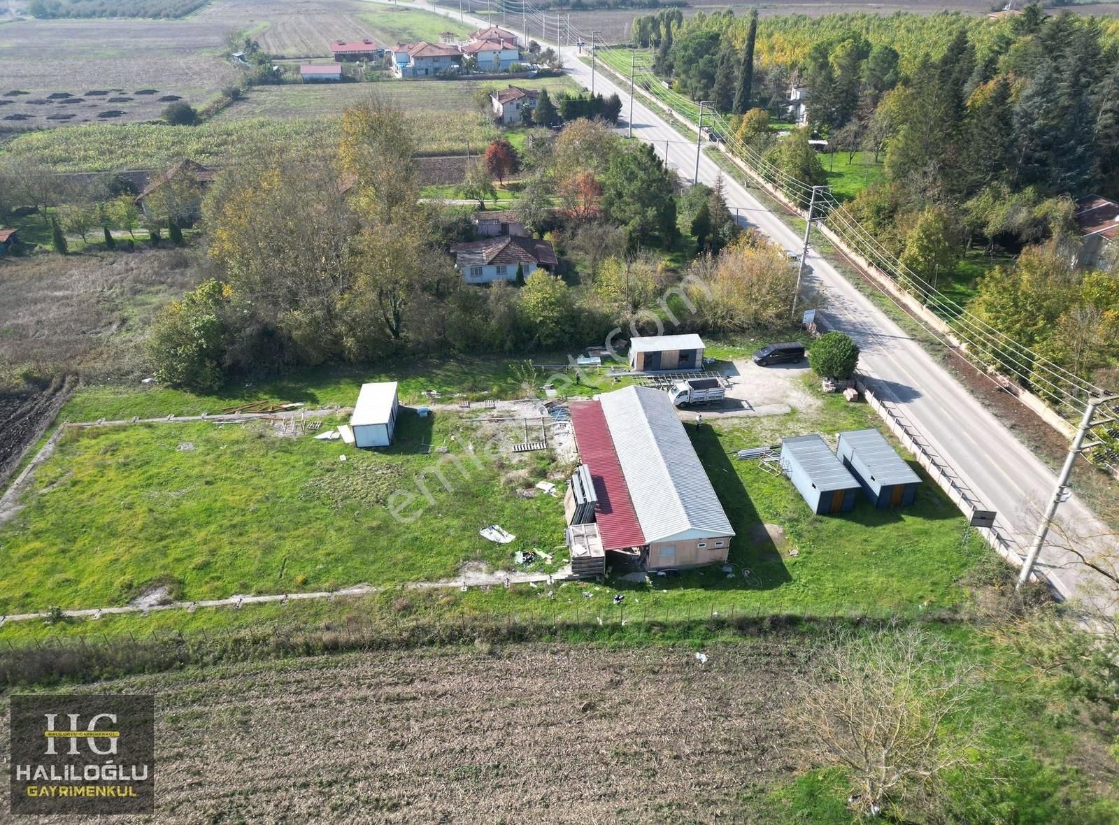 Kiralık 2,5 Dönüm Arazi Konteynır İçinde Sanayi Elektirig Mevcut - Görsel 3