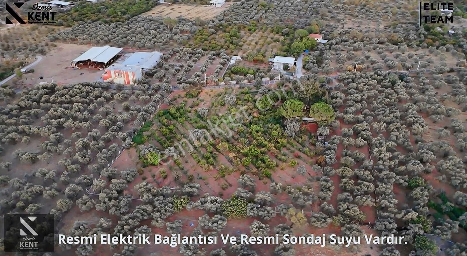 Kemalpaşa Çınar 8.507 M2 Satılık Bahçe Merkeze 1 Dk. - Görsel 5