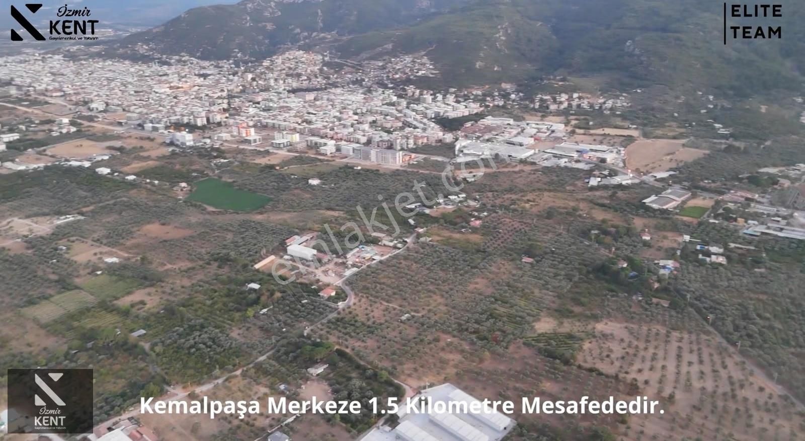 Kemalpaşa Çınar 8.507 M2 Satılık Bahçe Merkeze 1 Dk. - Görsel 9