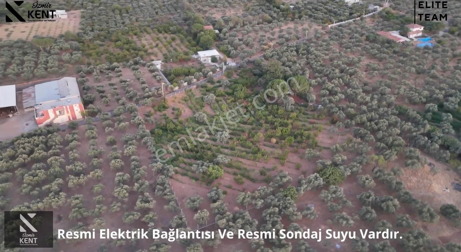 Kemalpaşa Çınar 8.507 M2 Satılık Bahçe Merkeze 1 Dk. - Görsel 19