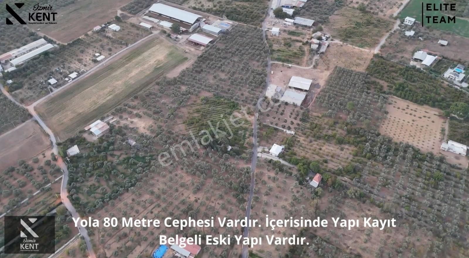 Kemalpaşa Çınar 8.507 M2 Satılık Bahçe Merkeze 1 Dk. - Görsel 7