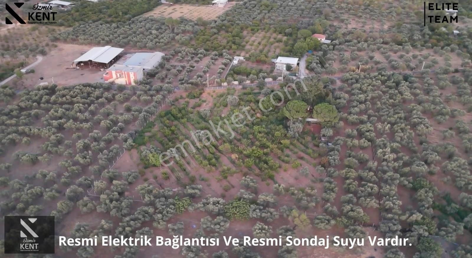 Kemalpaşa Çınar 8.507 M2 Satılık Bahçe Merkeze 1 Dk. - Görsel 16