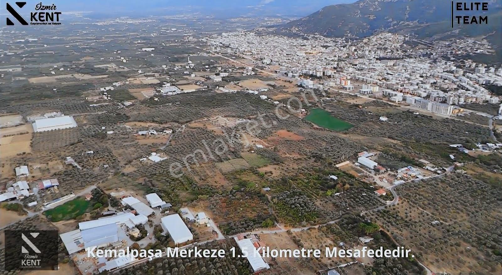 Kemalpaşa Çınar 8.507 M2 Satılık Bahçe Merkeze 1 Dk. - Görsel 22