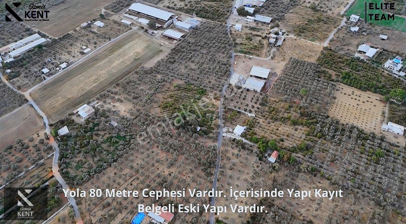 Kemalpaşa Çınar 8.507 M2 Satılık Bahçe Merkeze 1 Dk. - Görsel 10