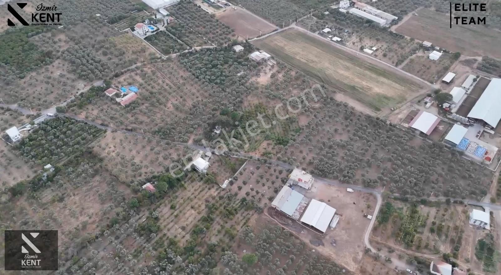 Kemalpaşa Çınar 8.507 M2 Satılık Bahçe Merkeze 1 Dk. - Görsel 15