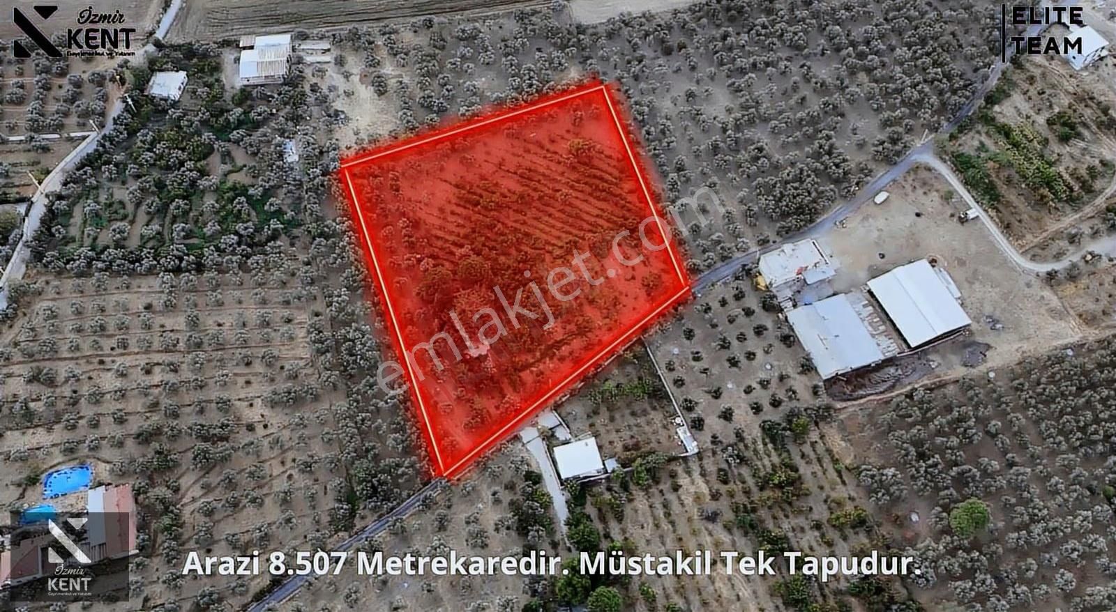 Kemalpaşa Çınar 8.507 M2 Satılık Bahçe Merkeze 1 Dk. - Görsel 2