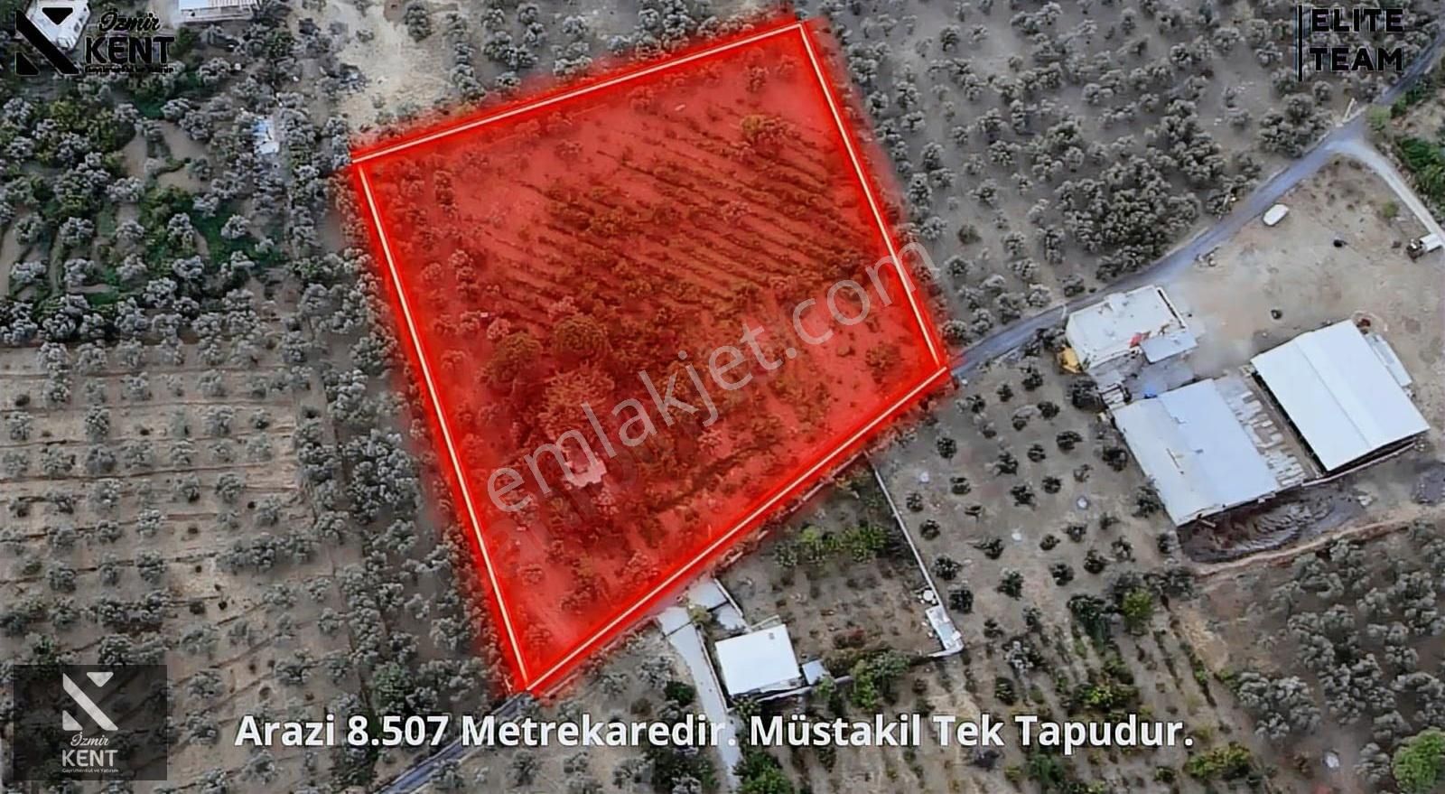 Kemalpaşa Çınar 8.507 M2 Satılık Bahçe Merkeze 1 Dk. - Görsel 12