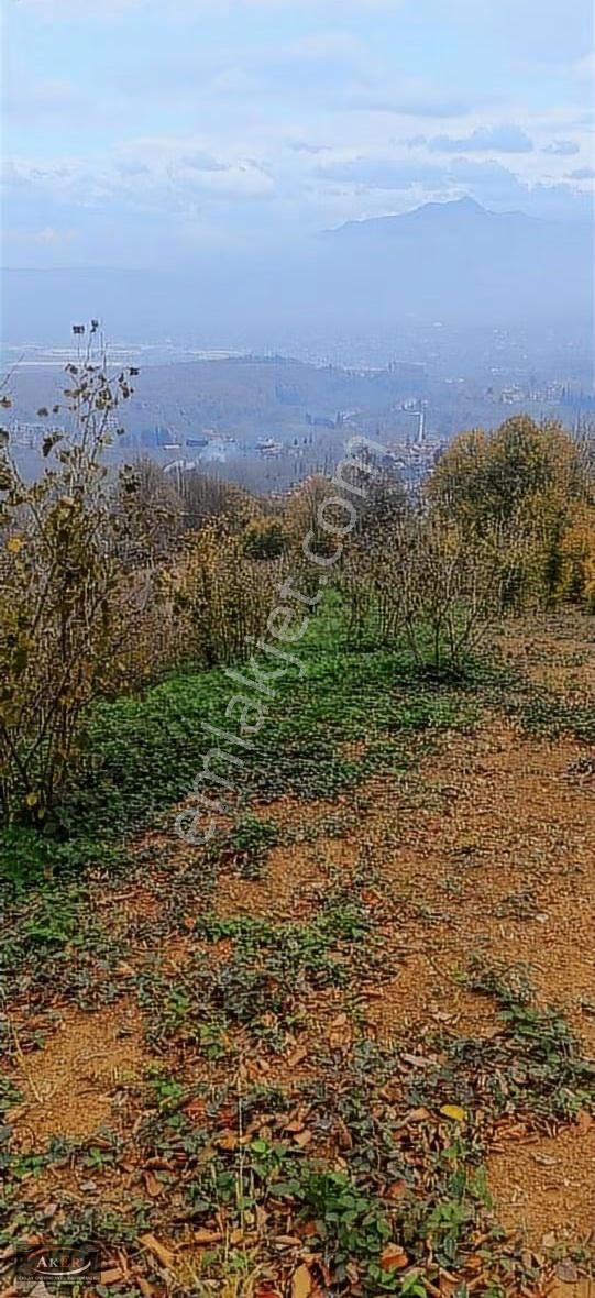 Bungol Evlik 4.300 Metrekare Resmi Yolu Var Evlere Yakın Manzara - Görsel 7