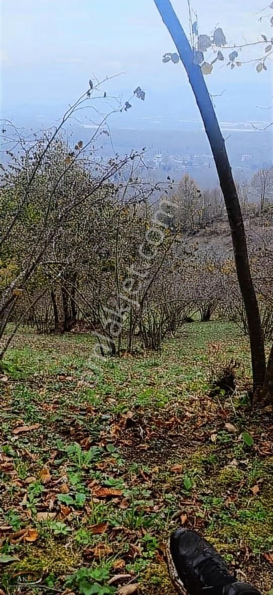 Bungol Evlik 4.300 Metrekare Resmi Yolu Var Evlere Yakın Manzara