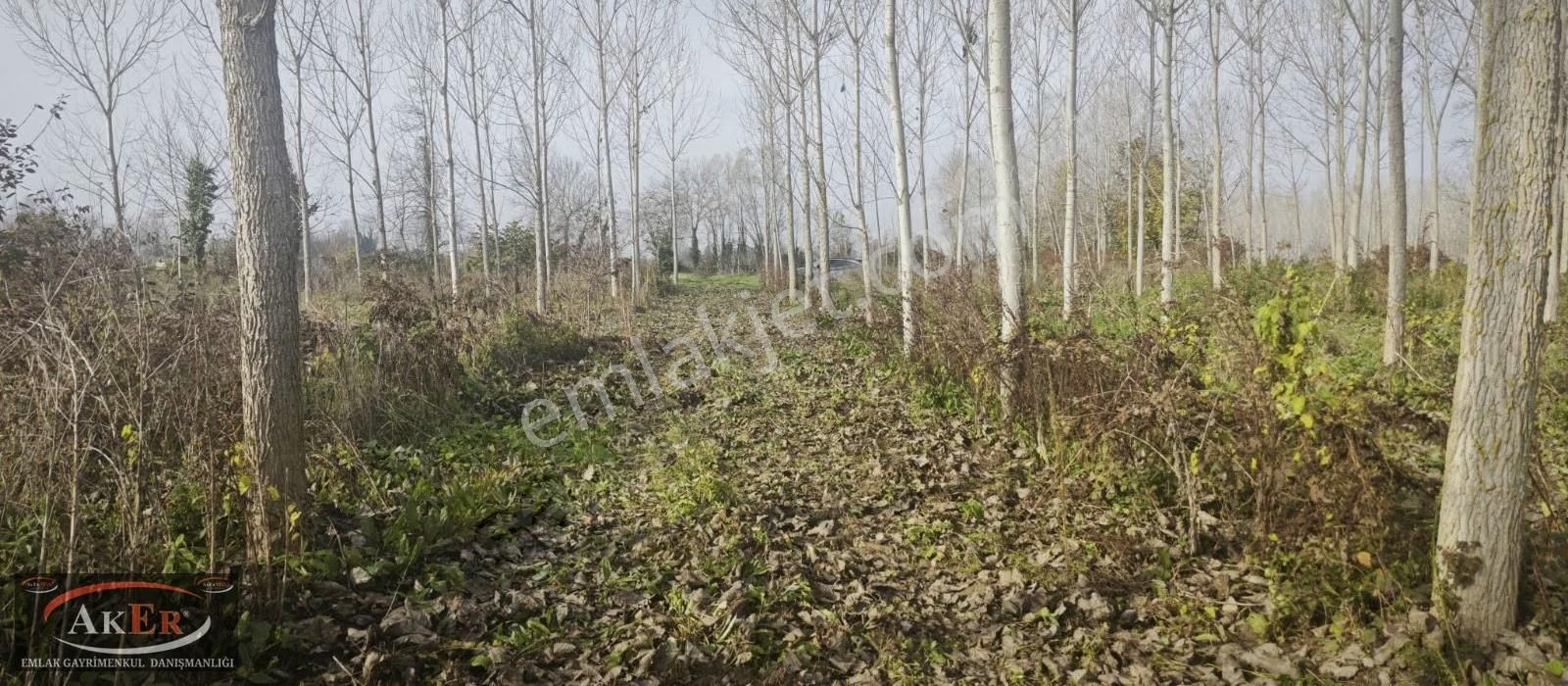 Mahalle İçine Yakın Konumda .yolu Var Yatırımın Kıralı - Görsel 13