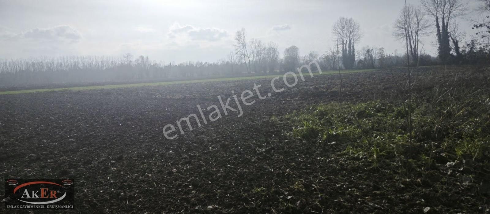 Mahalle İçine Yakın Konumda .yolu Var Yatırımın Kıralı - Görsel 11