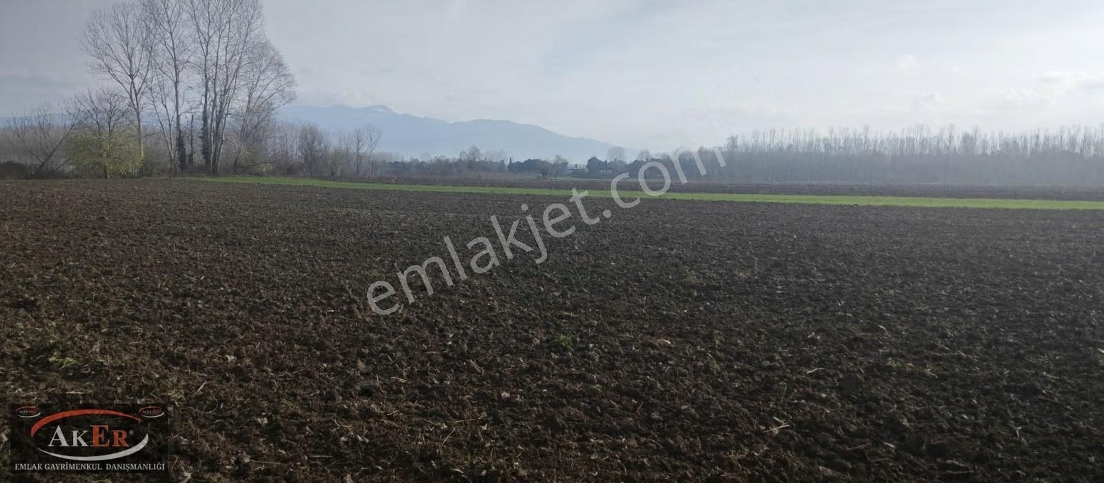 Mahalle İçine Yakın Konumda .yolu Var Yatırımın Kıralı - Görsel 7