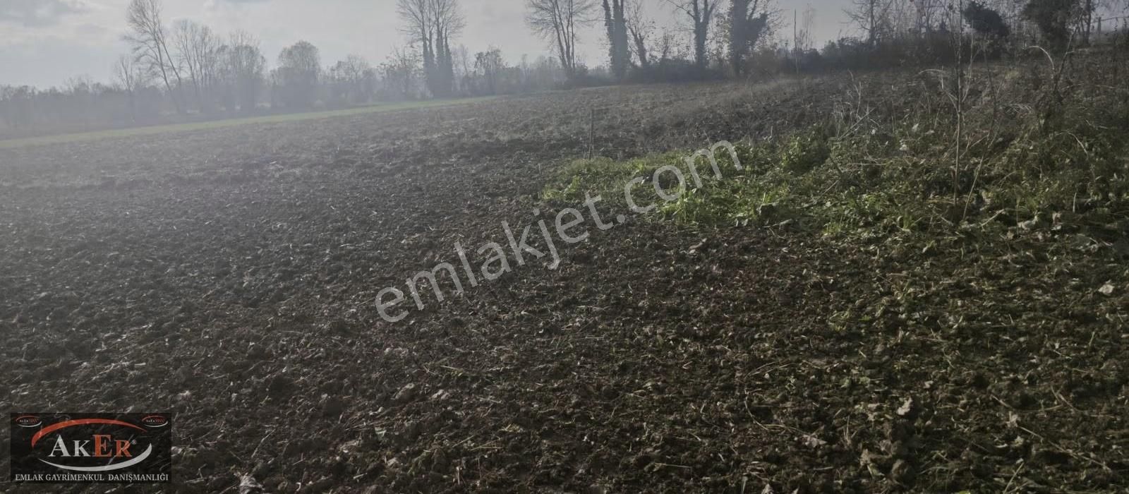 Mahalle İçine Yakın Konumda .yolu Var Yatırımın Kıralı - Görsel 9