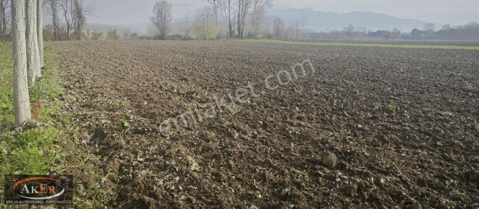 Mahalle İçine Yakın Konumda .yolu Var Yatırımın Kıralı - Görsel 2